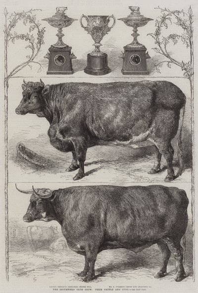 Exposición de ganado del Club Smithfield, ganado premiado y copas de Harrison William Weir